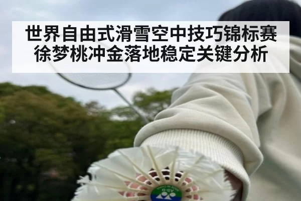 世界自由式滑雪空中技巧锦标赛徐梦桃冲金落地稳定关键分析